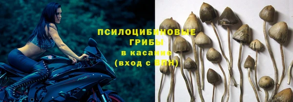 твердый Алексин
