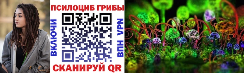купить наркоту  Россошь  Галлюциногенные грибы Magic Shrooms 